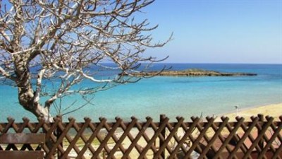 Beach View In Cyprus