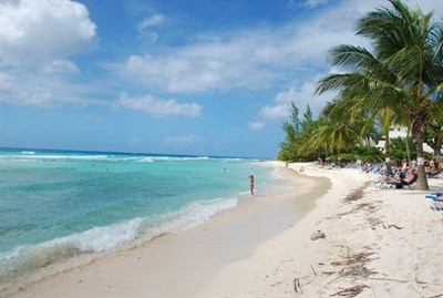 University Of St Andrews Cricket Tour To Barbados 157 