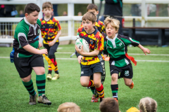 THE-BIG-DEVON-BASH-MINI-JUNIOR-FESTIVAL-RICHMOND-IVYBRIDGE-RFC