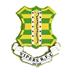 Vipers RFC Enjoyed Our Junior Rugby Festival