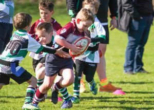 Highlights